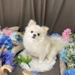 7/7 グルーミング