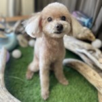 7/19 グルーミング