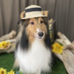 7/31　グルーミング