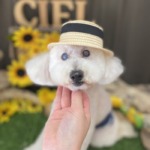 8/18　グルーミング