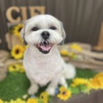 8/12 グルーミング