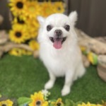 8/22 グルーミング