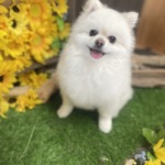 8/24　グルーミング