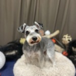 9/30  グルーミング