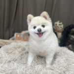 10/20　グルーミング
